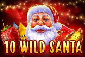 Logo 10 Wild Santa