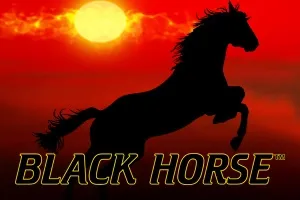 Logo Black Horse