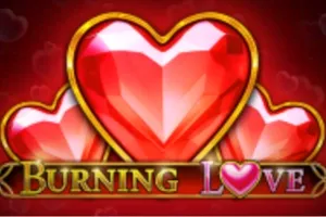 Logo Burning Love