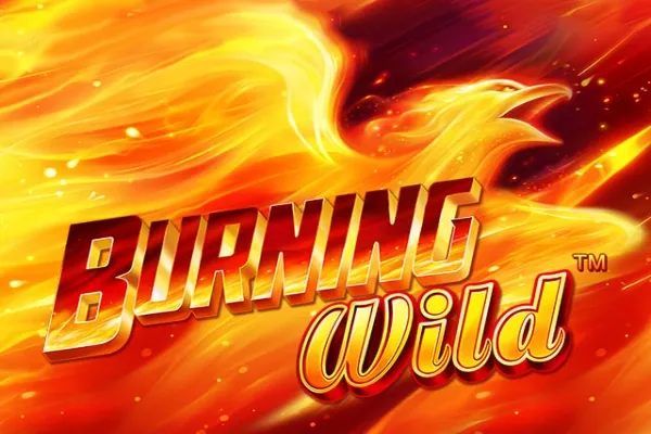 Logo Burning Wild