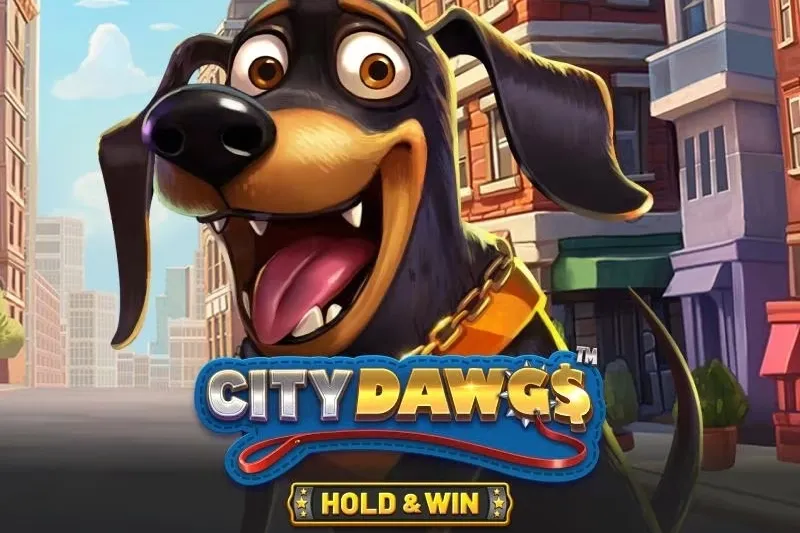 Logo City Dawgs - Hold & Win