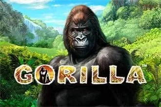 Logo Gorilla