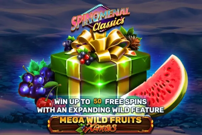Logo Mega Wild Fruits - Xmas
